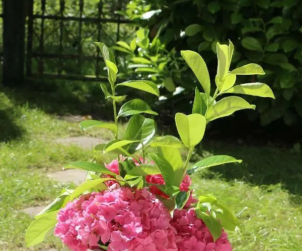 Ferienwohnung Nienhagen