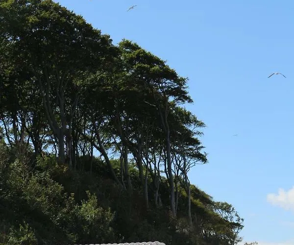 Ferienwohnung Nienhagen Lägenhet Ostseebad Nienhagen