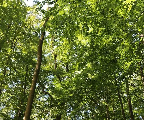 Lägenhet Ferienwohnung Nienhagen *