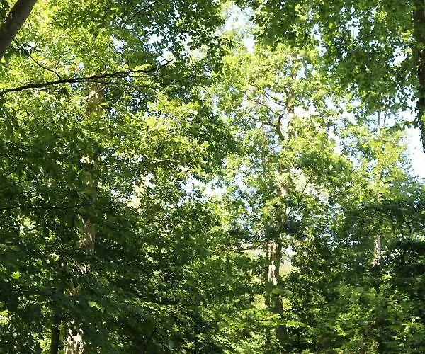 Lägenhet Ferienwohnung Nienhagen Ostseebad Nienhagen